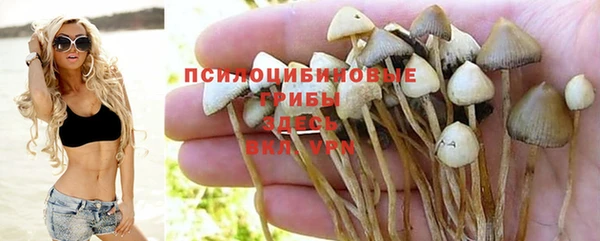 скорость Алзамай