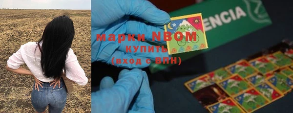 индика Алексеевка